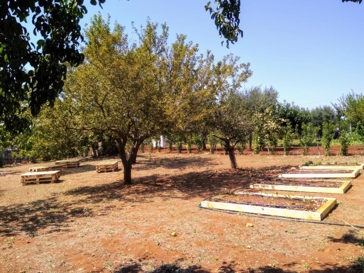 I Colmi - Trulli Suites Martina Franca Eksteriør bilde